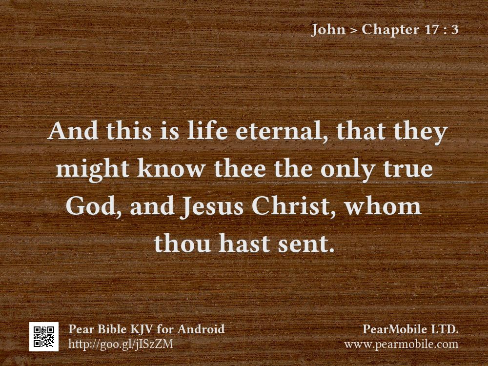 John, Chapter 17:3